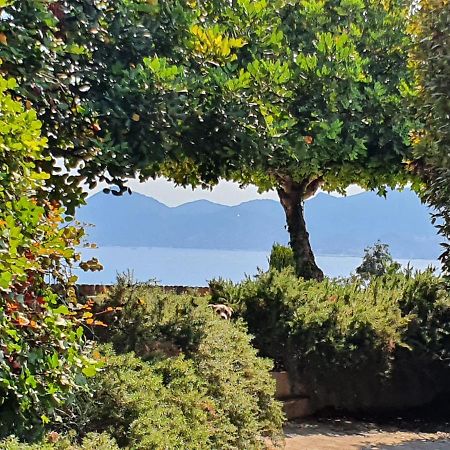 Haus Mit Garten Ueber Der Bucht Von Cannes 발로리스 외부 사진