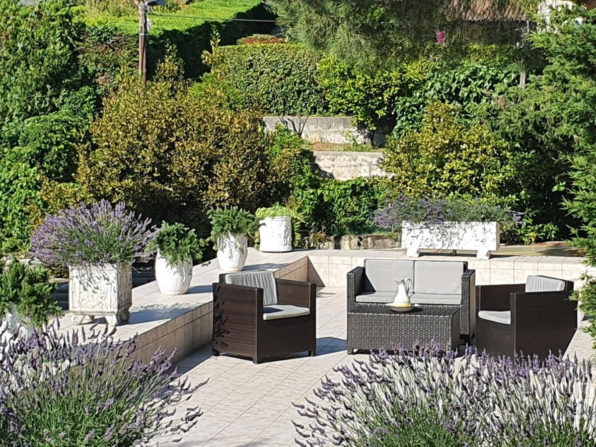 Haus Mit Garten Ueber Der Bucht Von Cannes 발로리스 외부 사진