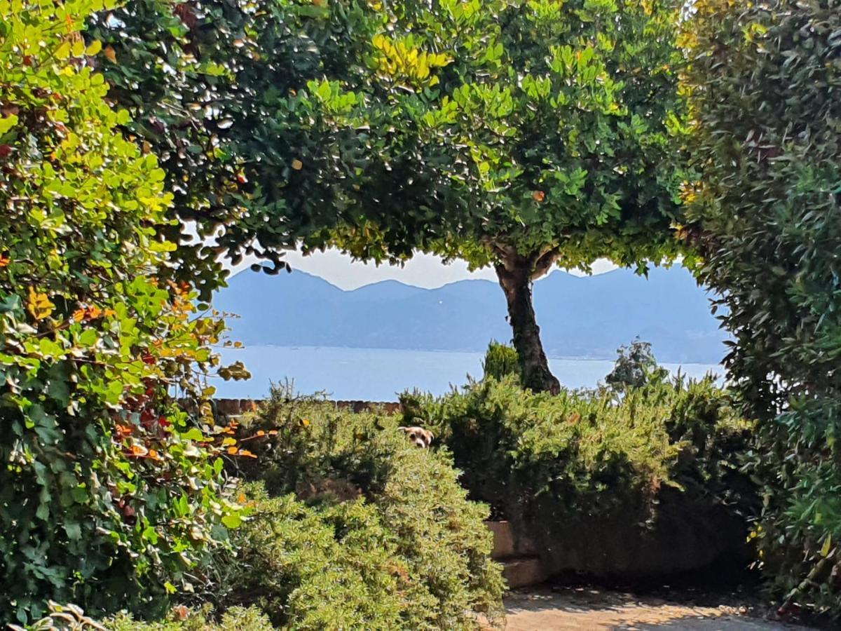 Haus Mit Garten Ueber Der Bucht Von Cannes 발로리스 외부 사진